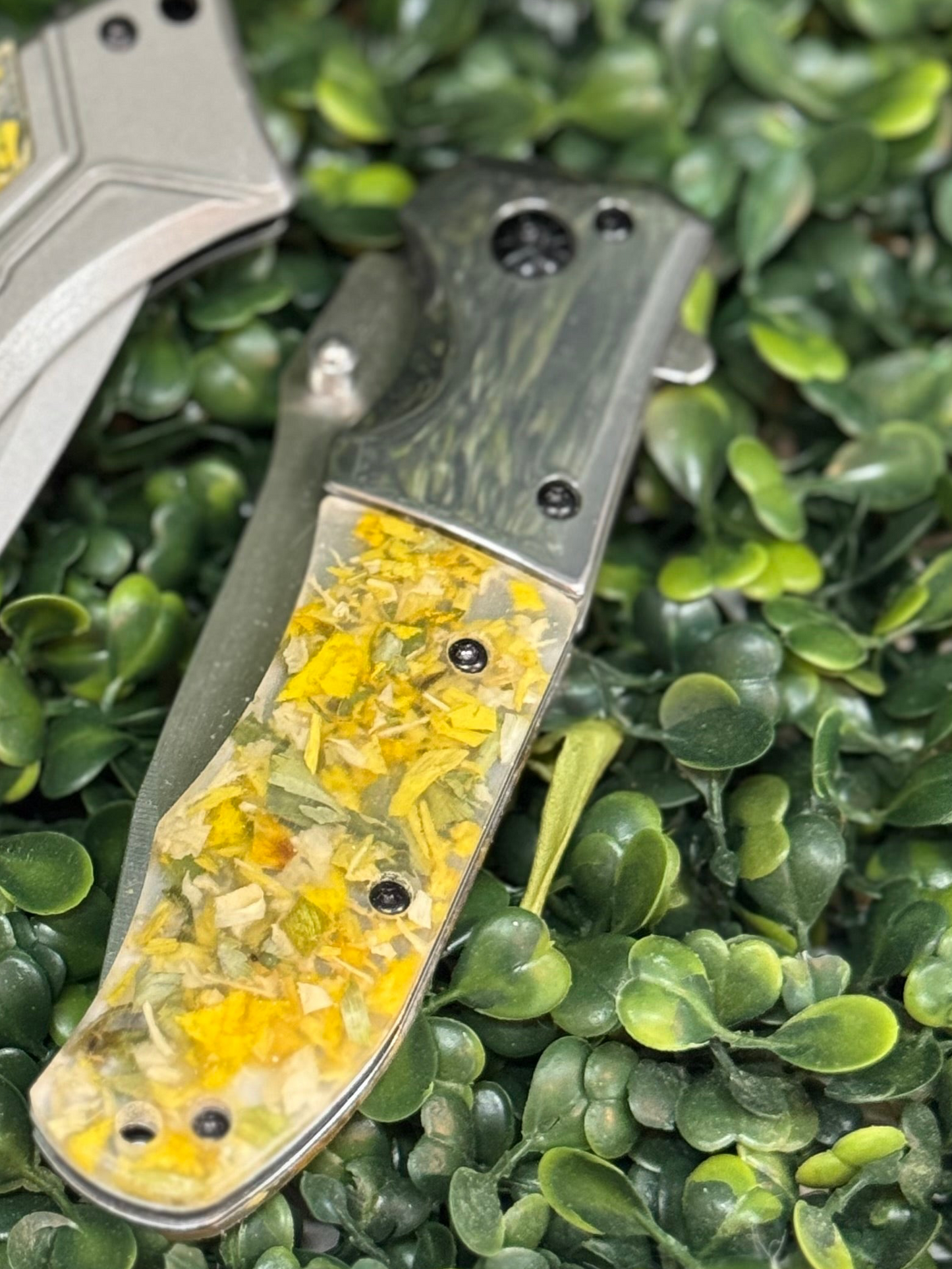 Pocket Knife