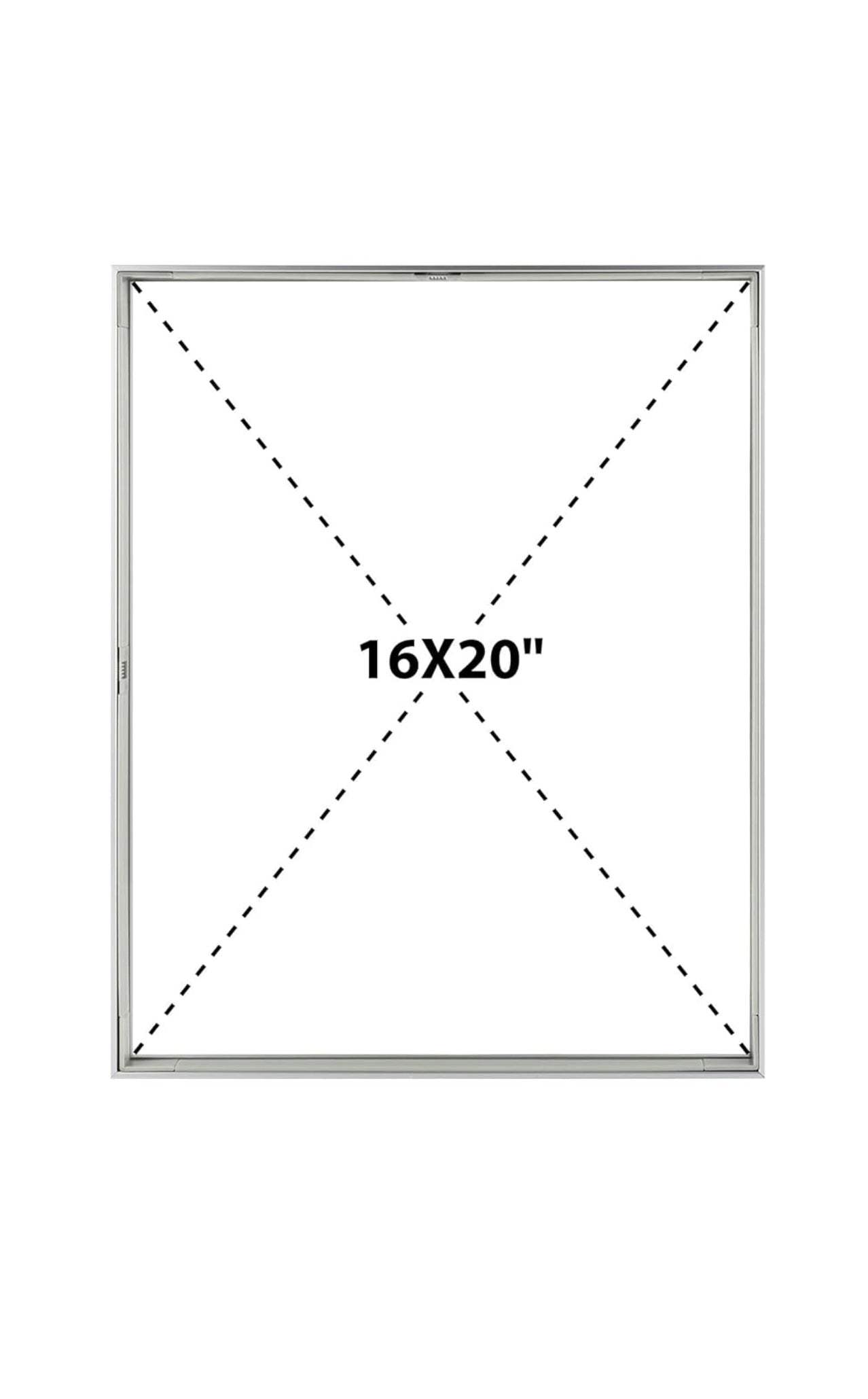 Pressed flower floating picture frames
